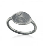The Umbra Ring
