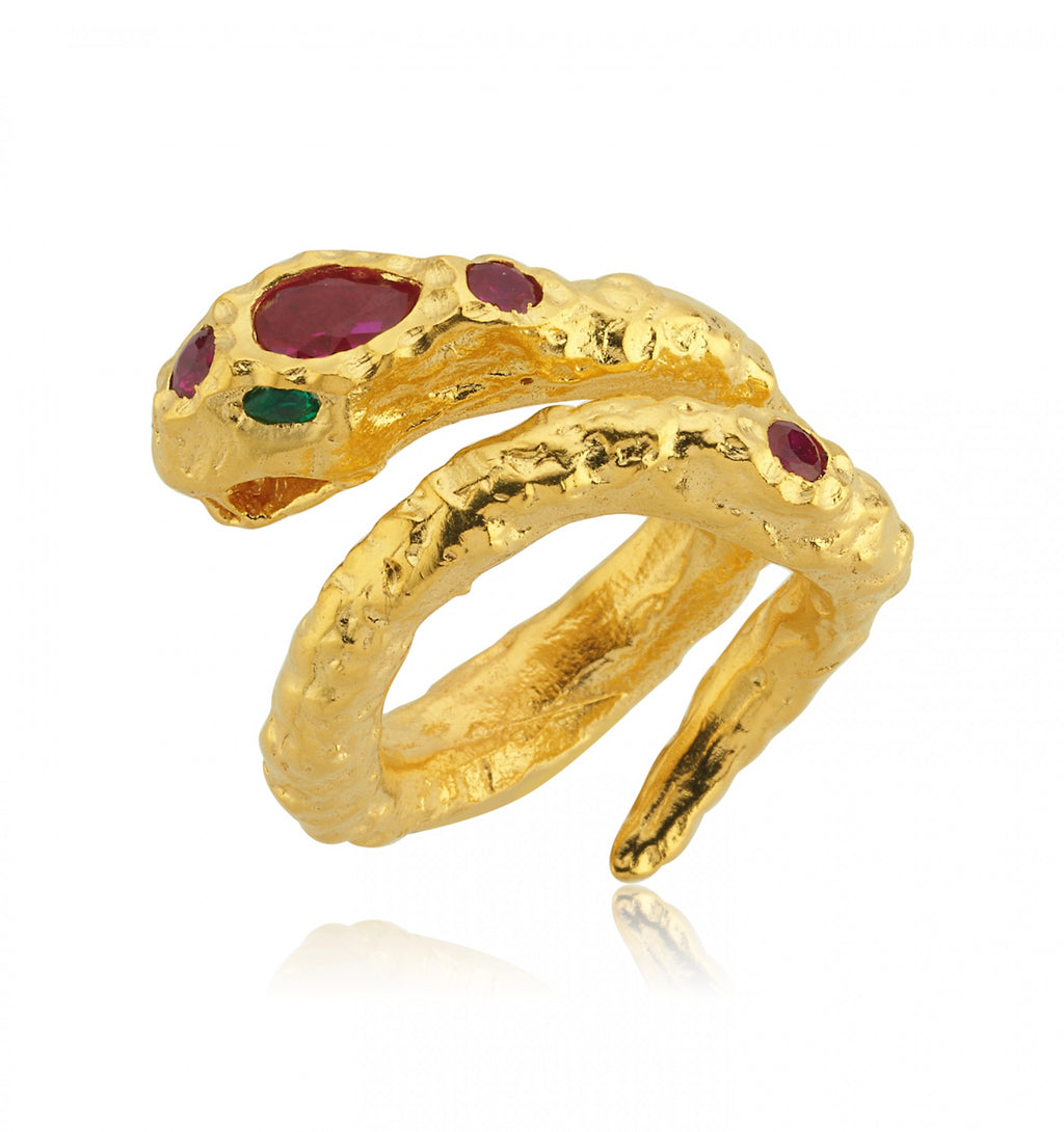 The Sanitas Gold Ring