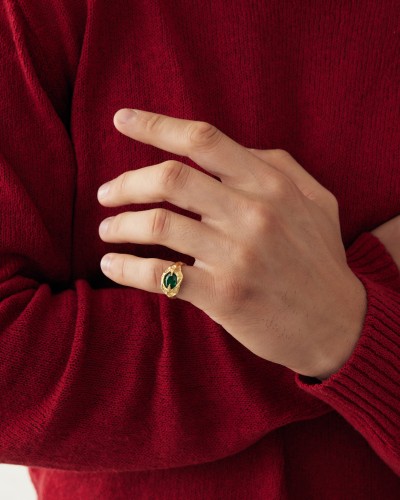 The Viridis Ymul Ring