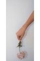 The Vincta Alba   Bracelet