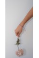 The Vincta Purpura   Bracelet