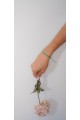 The Vincta Viridis   Bracelet