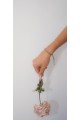 The Vincta Herba Bracelet The Vincta Herba Bracelet