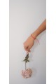 The Vincta Ignis   Bracelet