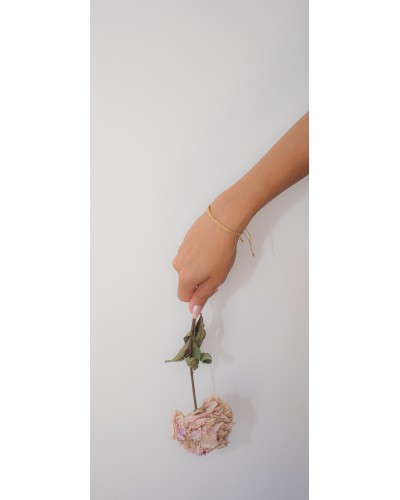 The Vincta Terra Bracelet