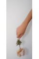 The Ruplets Blossom Bracelet