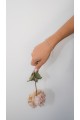 The Floranta Nuda Bracelet The Floranta Nuda Bracelet