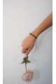 The Floranta Nocta Bracelet The Floranta Nocta Bracelet