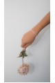 The Floranta Rosa Bracelet