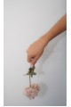 The Nexa Floris Bracelet The Nexa Floris Bracelet
