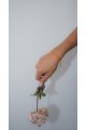 The Nexa Aurantia Bracelet