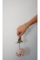 The Nexa Viridis Bracelet The Nexa Viridis Bracelet