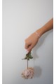 The Miravita Rosa Bracelet