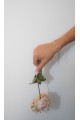 The Solia Arvum Bracelet The Solia Arvum Bracelet