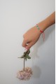 The Ferrum Ignis Bracelet The Ferrum Ignis Bracelet