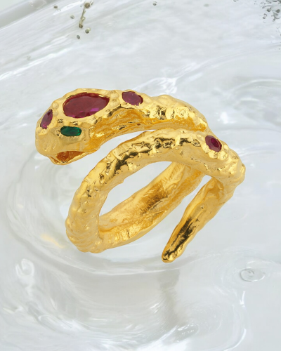 The Sanitas Ring