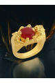 The Copulabis Tigre Ring